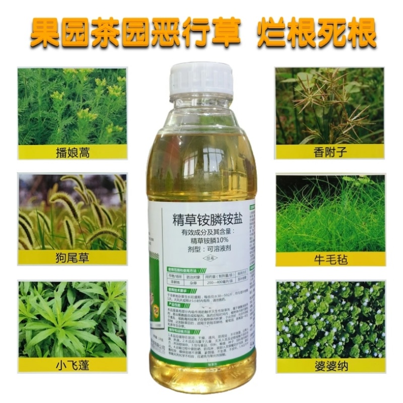 除草剂10%精草铵膦铵盐小飞蓬牛筋草水花钱烂根不返清