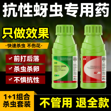 抗性蚜虫农药杀虫剂触杀胃毒杀虫药氟啶虫酰胺联苯菊酯