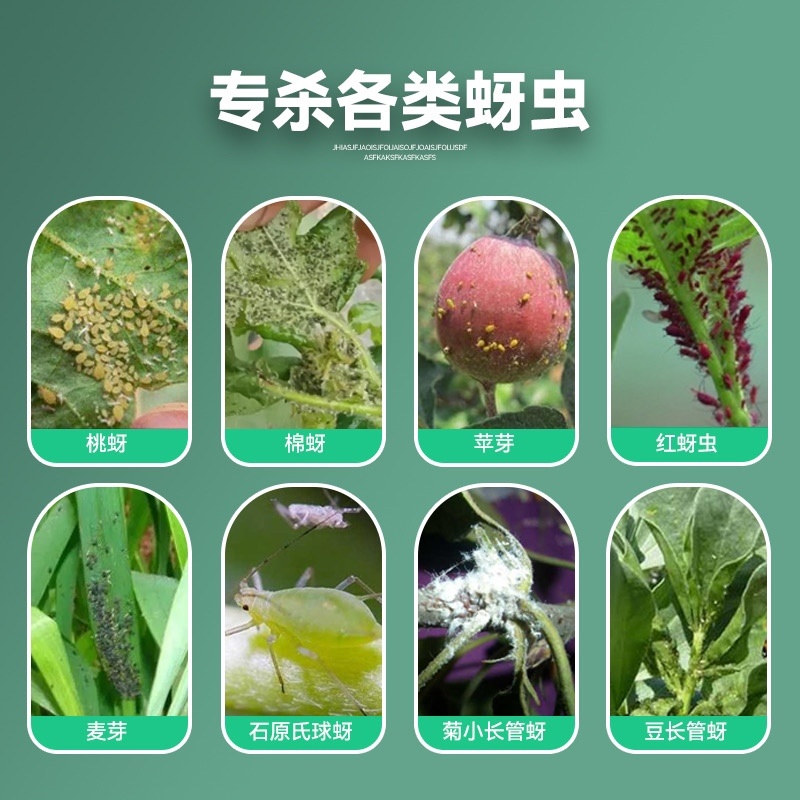 抗性蚜虫农药杀虫剂触杀胃毒杀虫药氟啶虫酰胺联苯菊酯