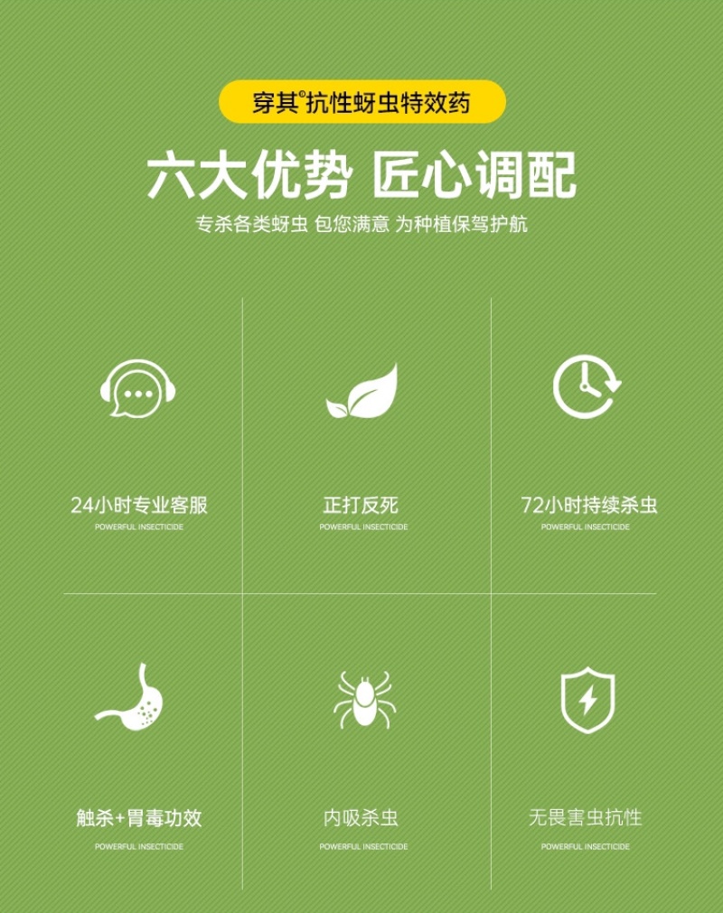 抗性蚜虫农药杀虫剂触杀胃毒杀虫药氟啶虫酰胺联苯菊酯