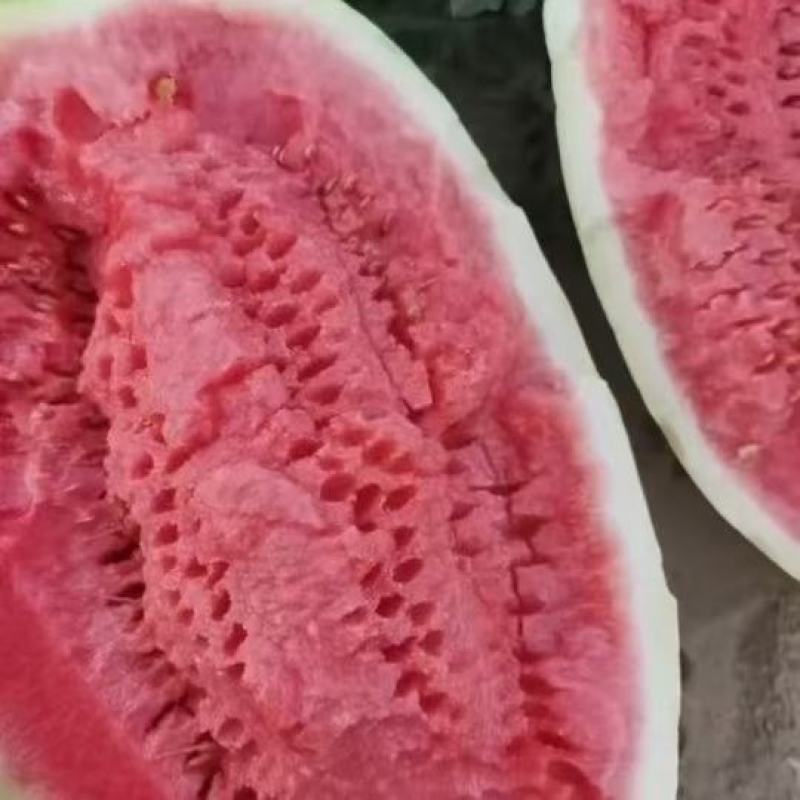 陕西汉中洋县西瓜大量有货