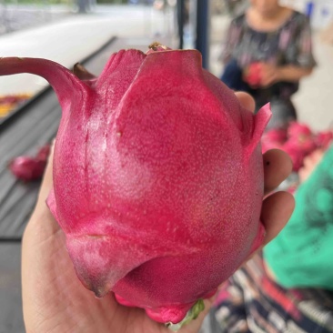 红心火龙果