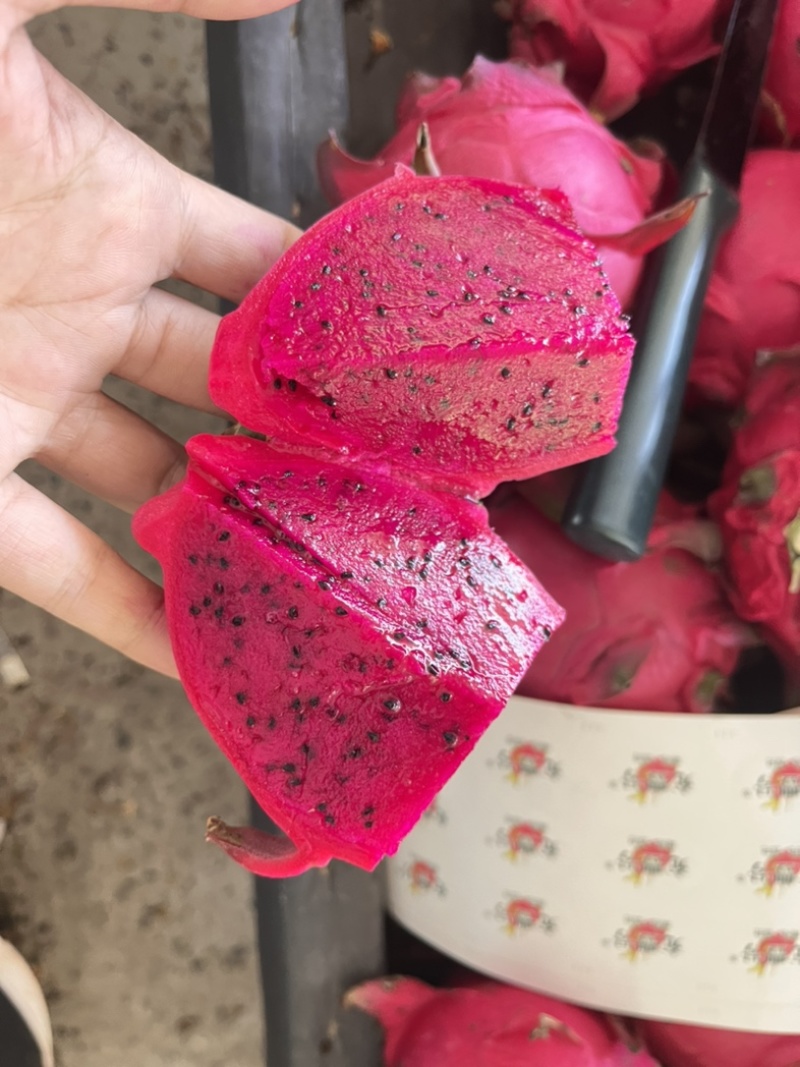 红心火龙果
