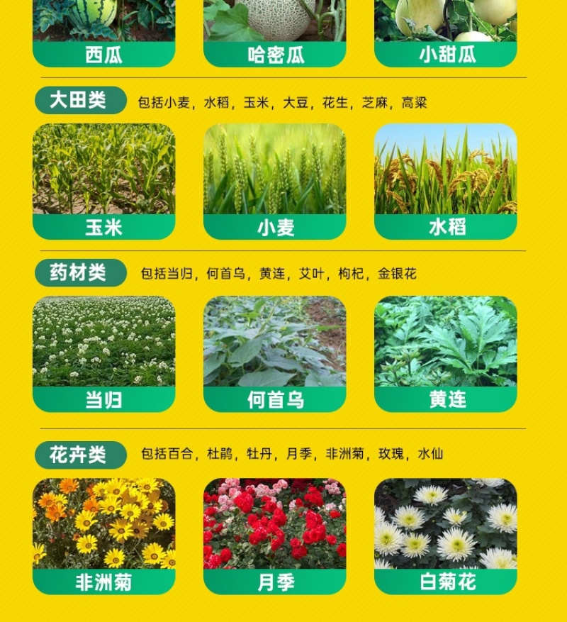 70%噻虫嗪杀虫剂触杀胃毒内吸杀虫谱广农药杀虫药量大从优