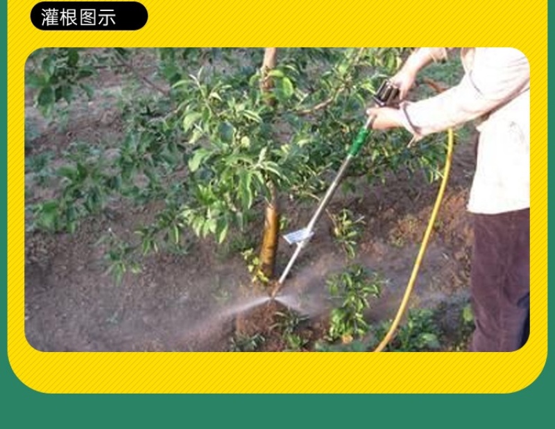 70%噻虫嗪杀虫剂触杀胃毒内吸杀虫谱广农药杀虫药量大从优