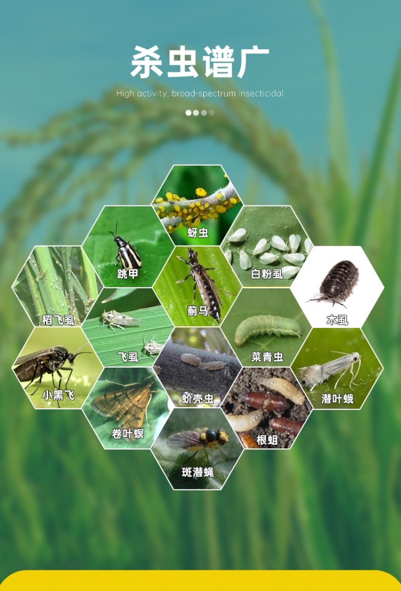 70%噻虫嗪杀虫剂触杀胃毒内吸杀虫谱广农药杀虫药量大从优