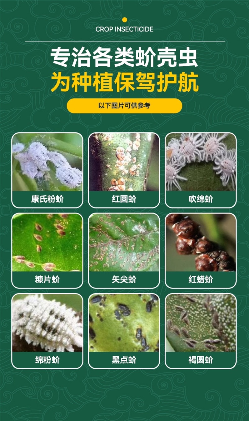 蚧壳虫专用药螺虫噻嗪酮果树柑橘通用杀虫剂