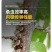 蚧壳虫专用药螺虫噻嗪酮果树柑橘通用杀虫剂