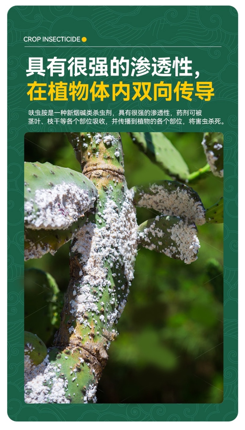 蚧壳虫专用药螺虫噻嗪酮果树柑橘通用杀虫剂