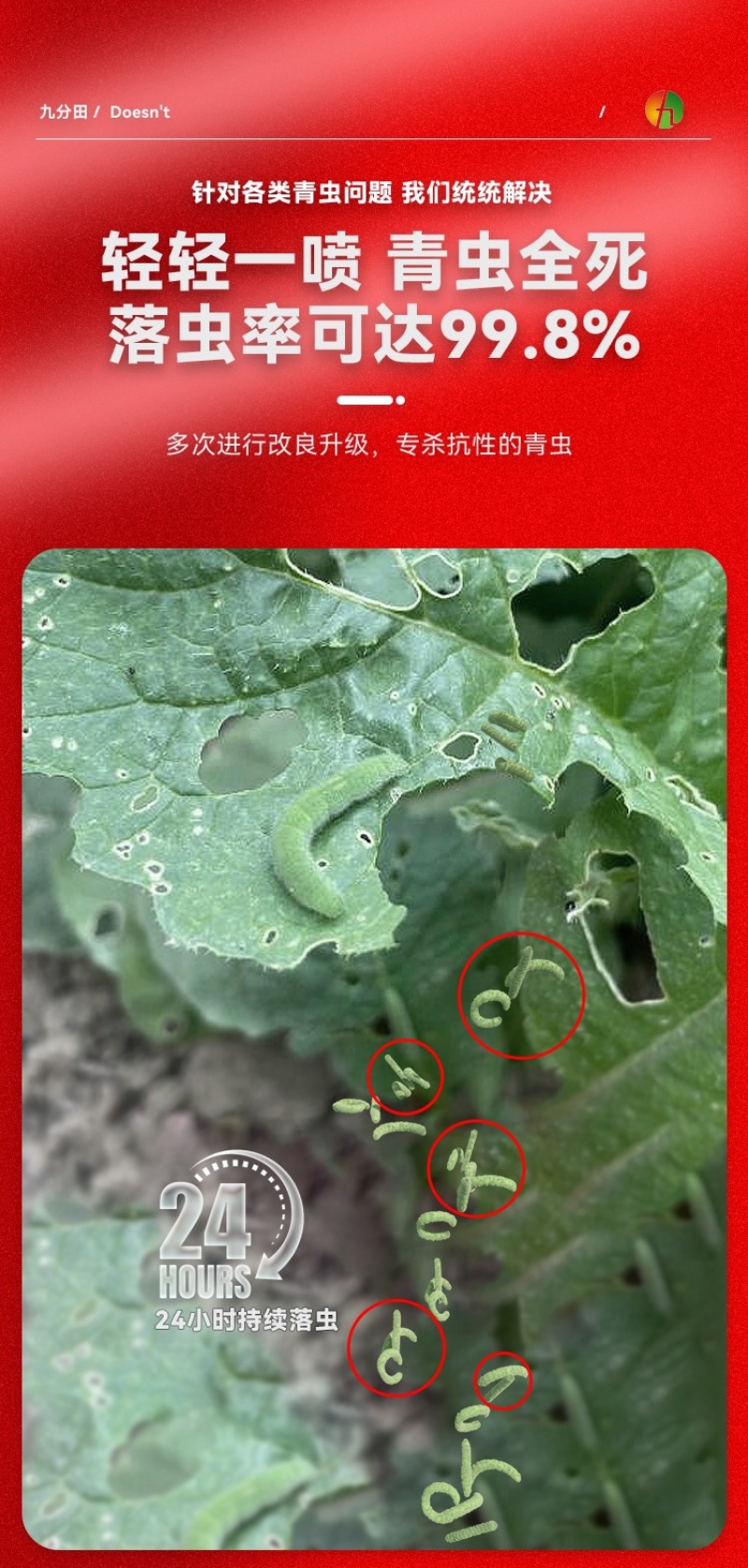 11.6%甲维氯虫苯青虫钻心虫卷叶螟果树青菜玉米水稻通用