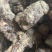土茯苓湖南野生土茯苓，农户深山采挖一手货源批发