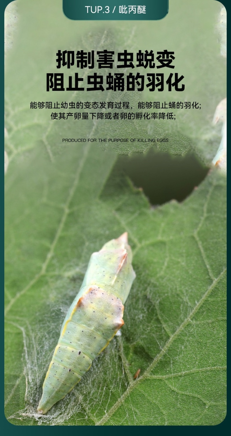 10%吡丙醚杀蓟马介壳虫青虫白粉虱卵农药杀虫剂