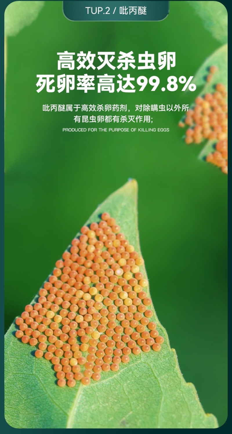 10%吡丙醚杀蓟马介壳虫青虫白粉虱卵农药杀虫剂