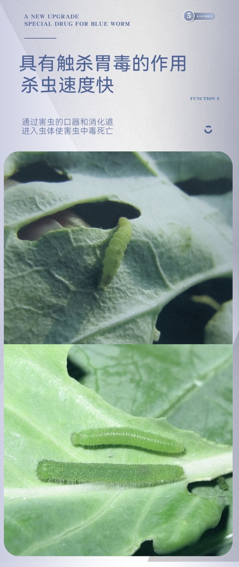 抗性青虫甲维盐专用青虫吊丝虫钻心虫辣椒果树玉米等通用