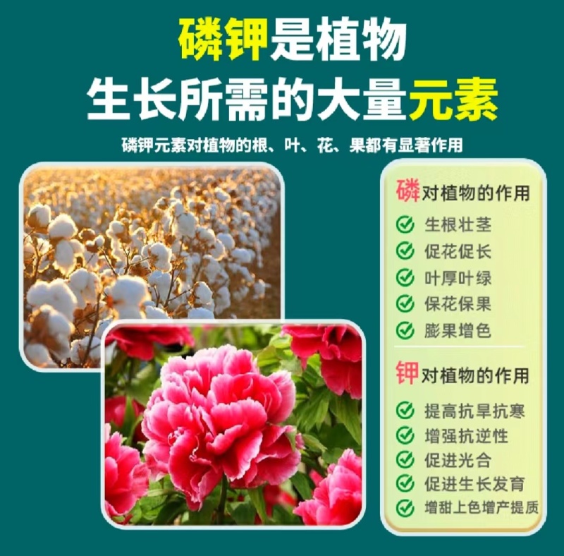 膨化闪溶型磷酸二氢钾高纯度叶面肥全水溶膨果增色保花保果