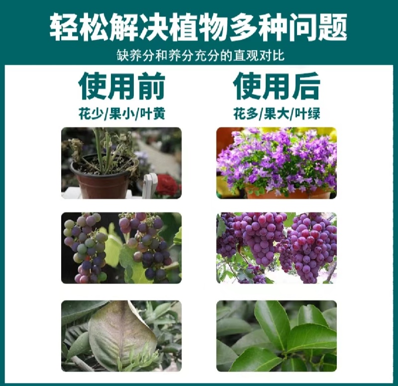 膨化闪溶型磷酸二氢钾高纯度叶面肥全水溶膨果增色保花保果