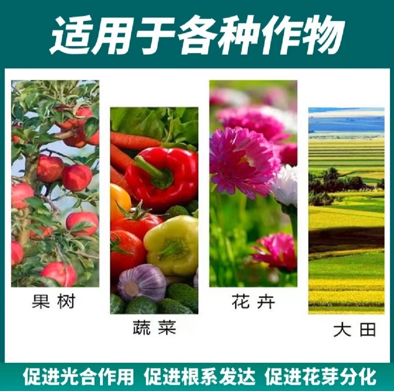 膨化闪溶型磷酸二氢钾高纯度叶面肥全水溶膨果增色保花保果