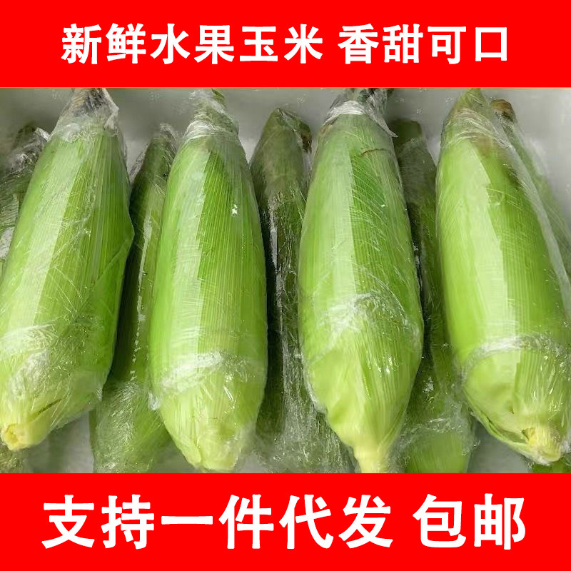 新鲜甜玉米