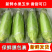 新鲜甜玉米