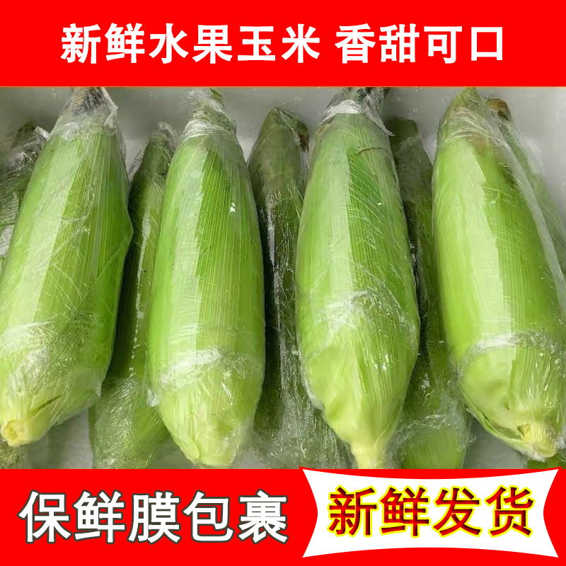 新鲜甜玉米