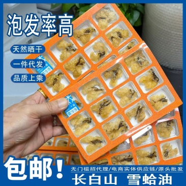 长白山足干整个雪蛤膏林蛙雪蛤油泡发率高批发