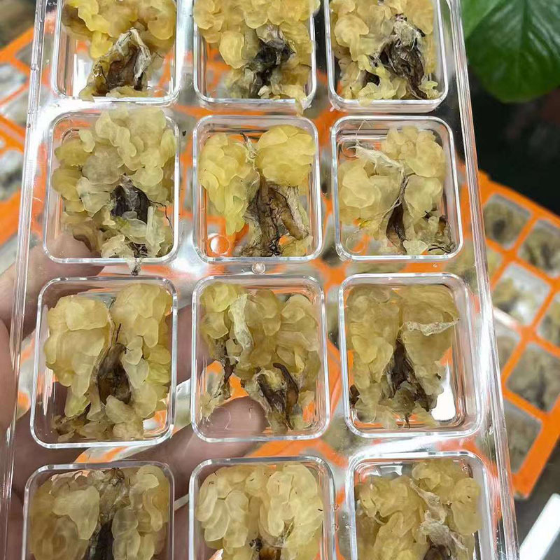 长白山足干整个雪蛤膏林蛙雪蛤油泡发率高批发