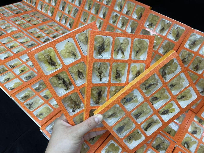 长白山足干整个雪蛤膏林蛙雪蛤油泡发率高批发