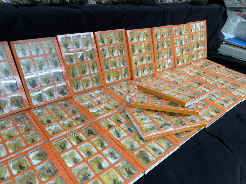 长白山足干整个雪蛤膏林蛙雪蛤油泡发率高批发