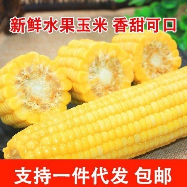 新鲜甜玉米