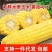新鲜甜玉米