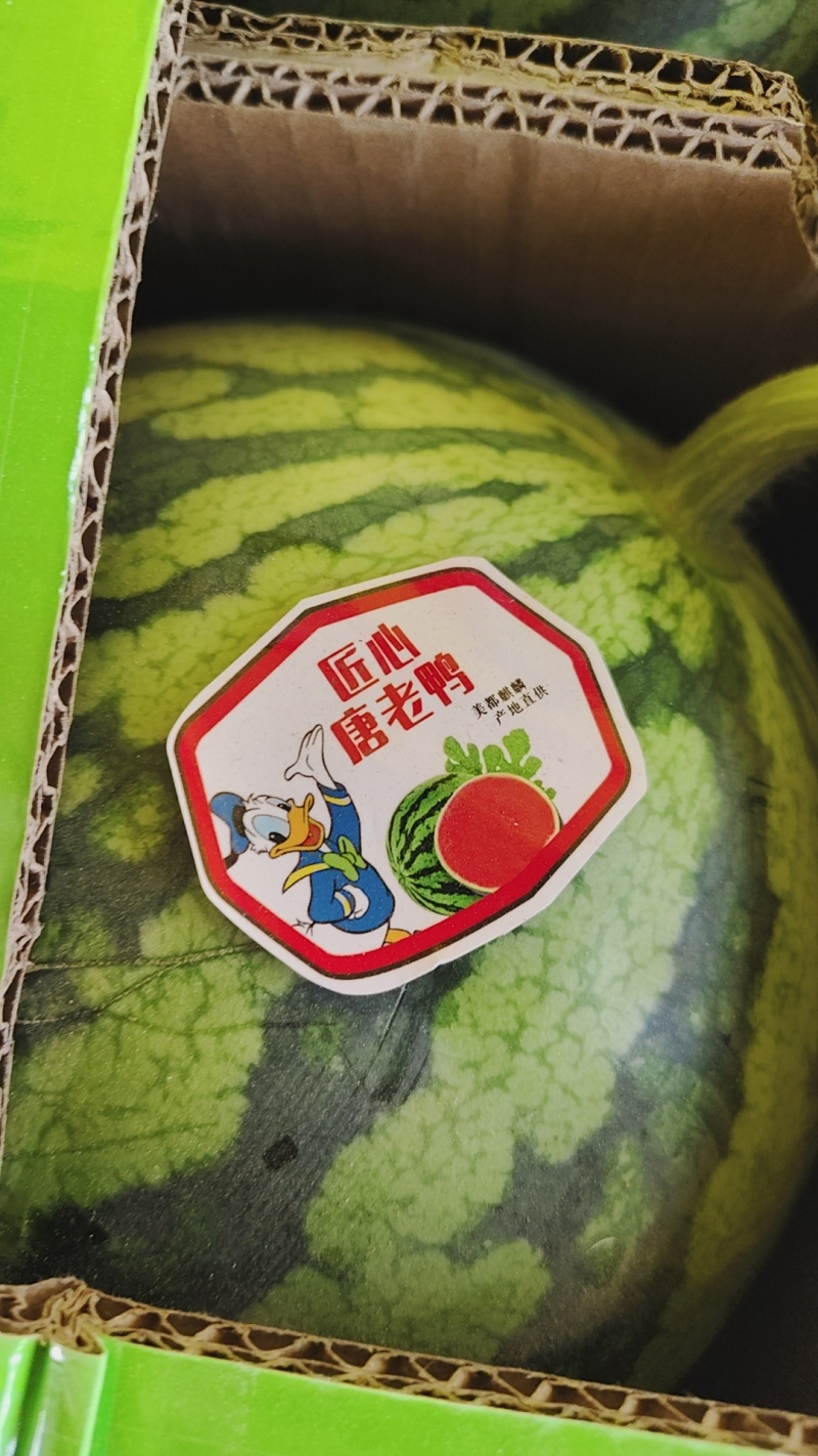 【对接客户】精品无籽美都西瓜甘肃发货6~12斤诚信经营