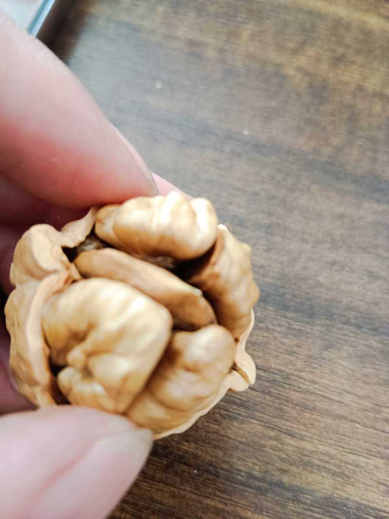 厂家新疆薄皮核桃批发原味干核桃1斤2斤5斤袋装供电商团购