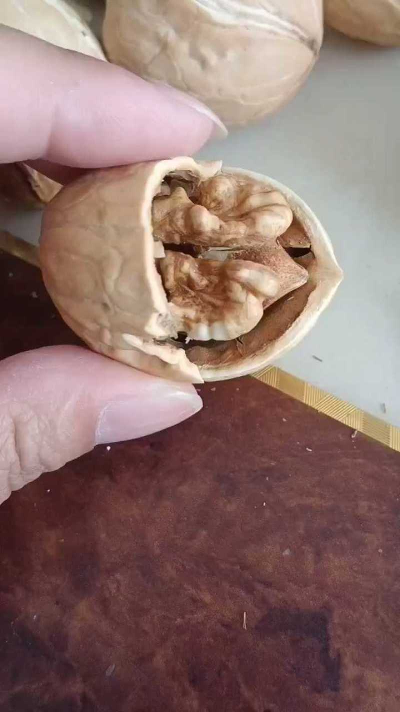 厂家新疆薄皮核桃批发原味干核桃1斤2斤5斤袋装供电商团购