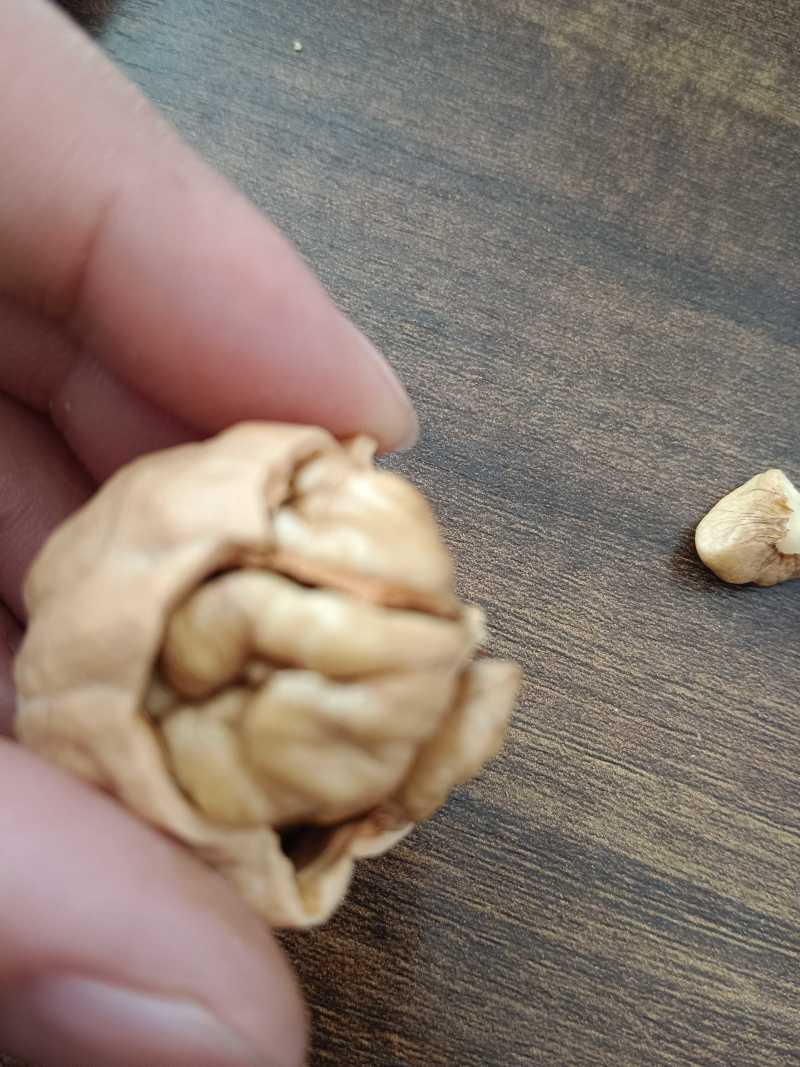厂家新疆薄皮核桃批发原味干核桃1斤2斤5斤袋装供电商团购