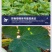 病毒病专用辣椒黄瓜西葫芦西红柿丝瓜各类病毒病专用杀菌剂