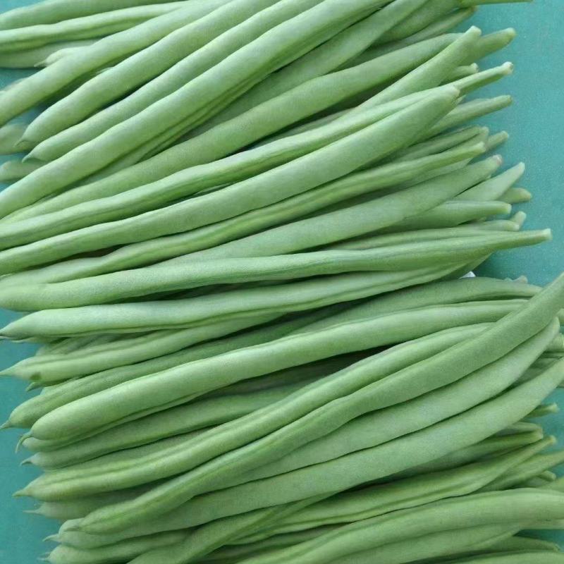 四季豆小金豆对接全国市场商超诚信经营量大从优