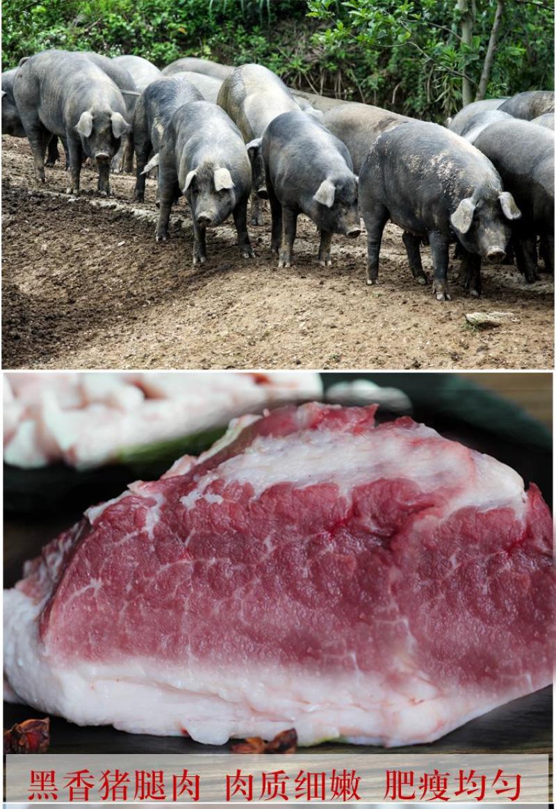 黑猪肉全国发货货源充足诚信经营欢迎咨询