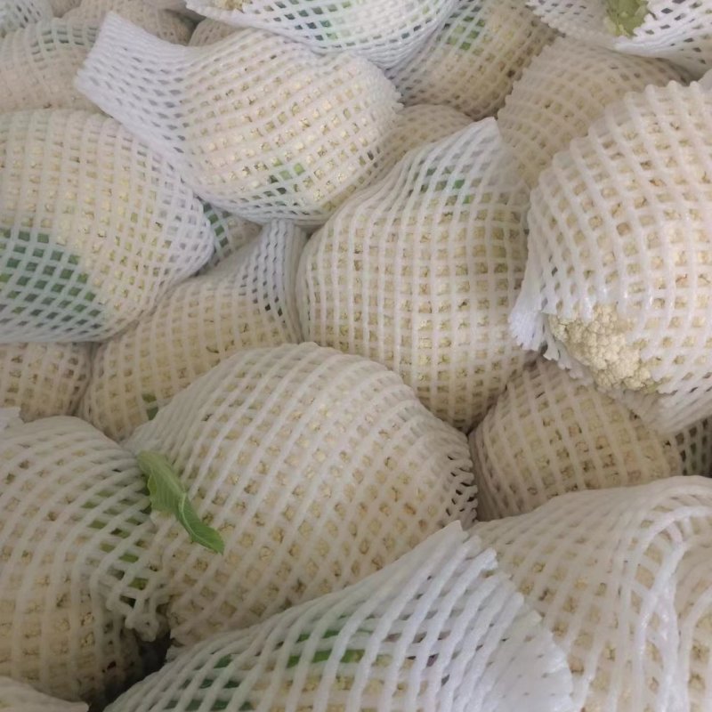 精品有机花，无根净菜，