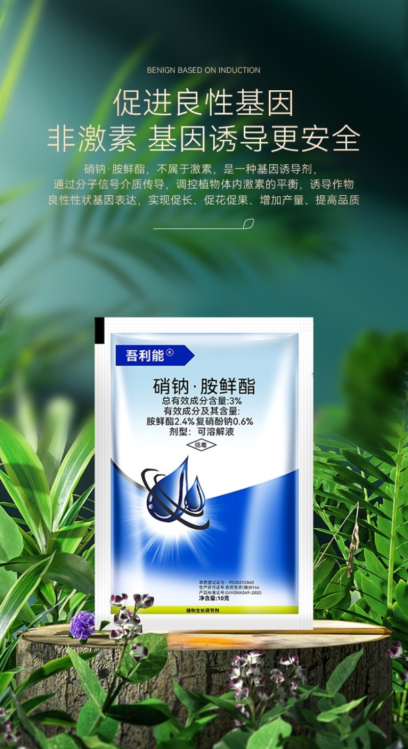 硝钠胺鲜酯植物生长调节剂生根细胞分裂素促保花保果