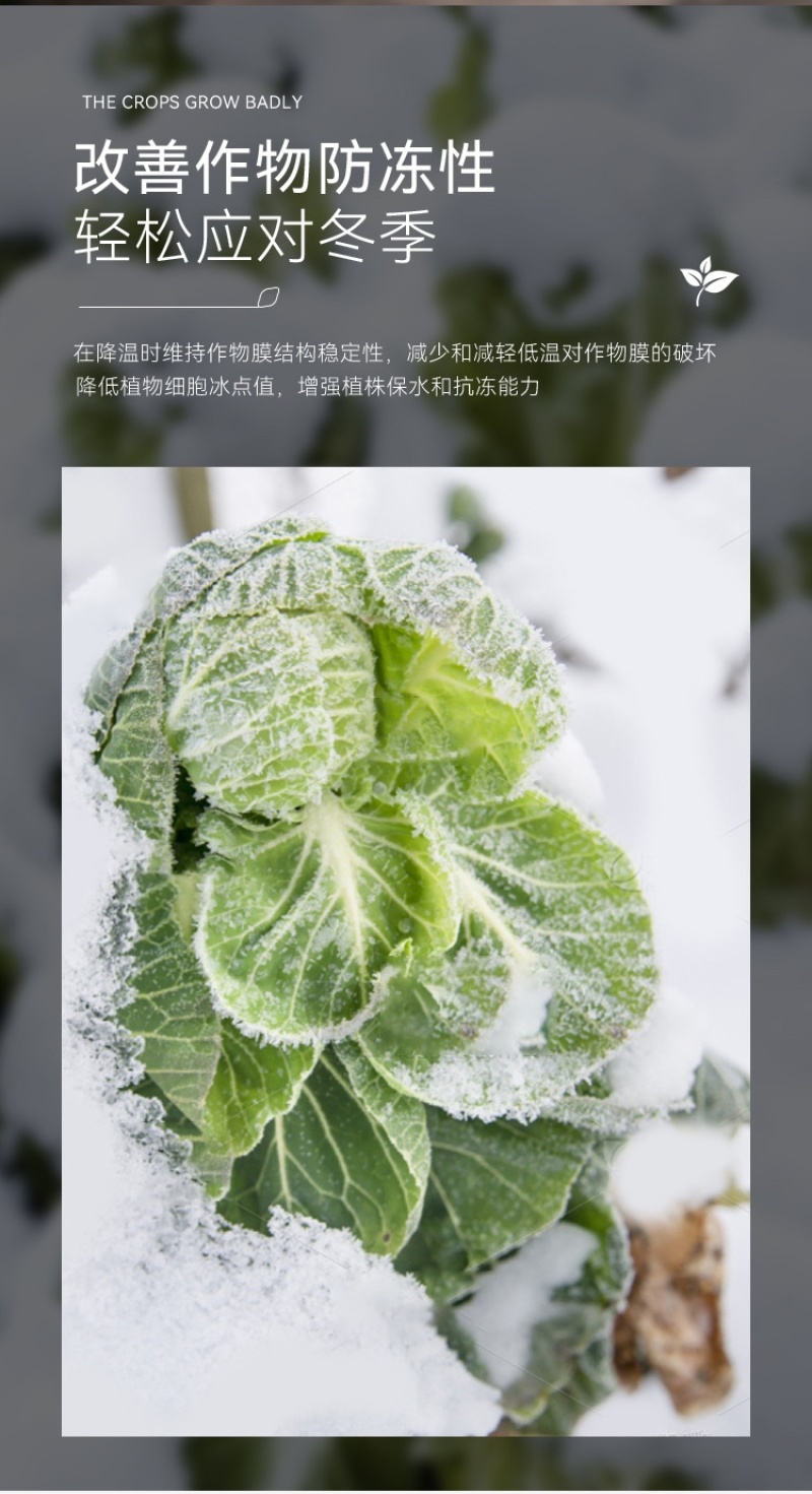 硝钠胺鲜酯植物生长调节剂生根细胞分裂素促保花保果