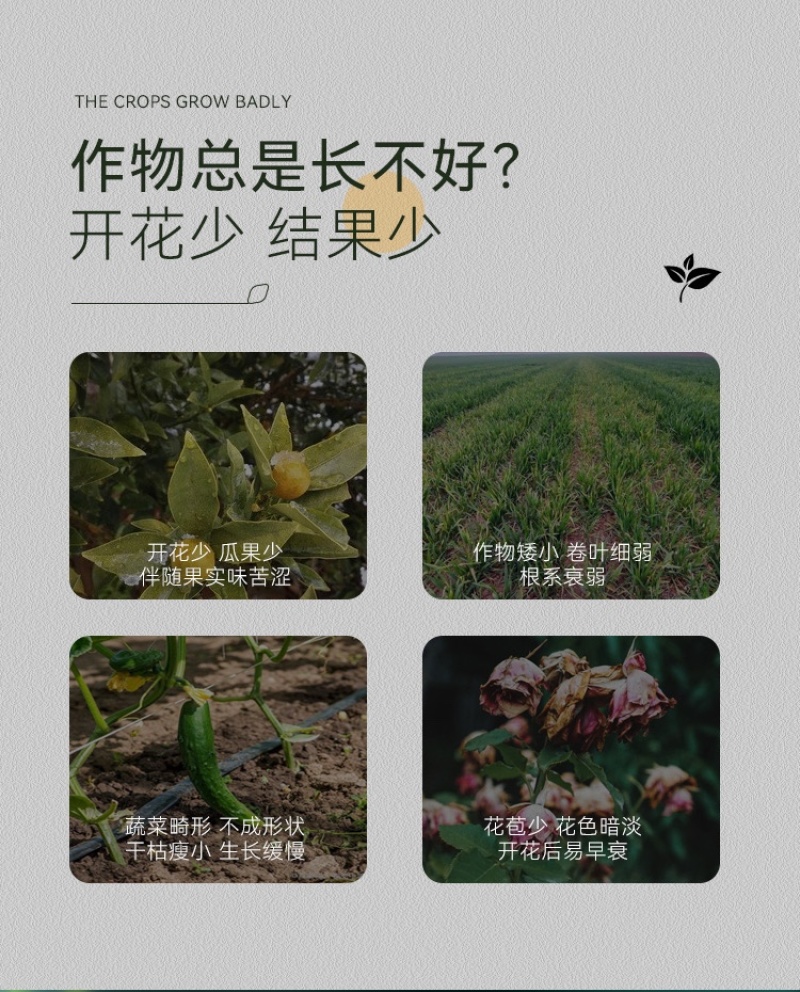 硝钠胺鲜酯植物生长调节剂生根细胞分裂素促保花保果
