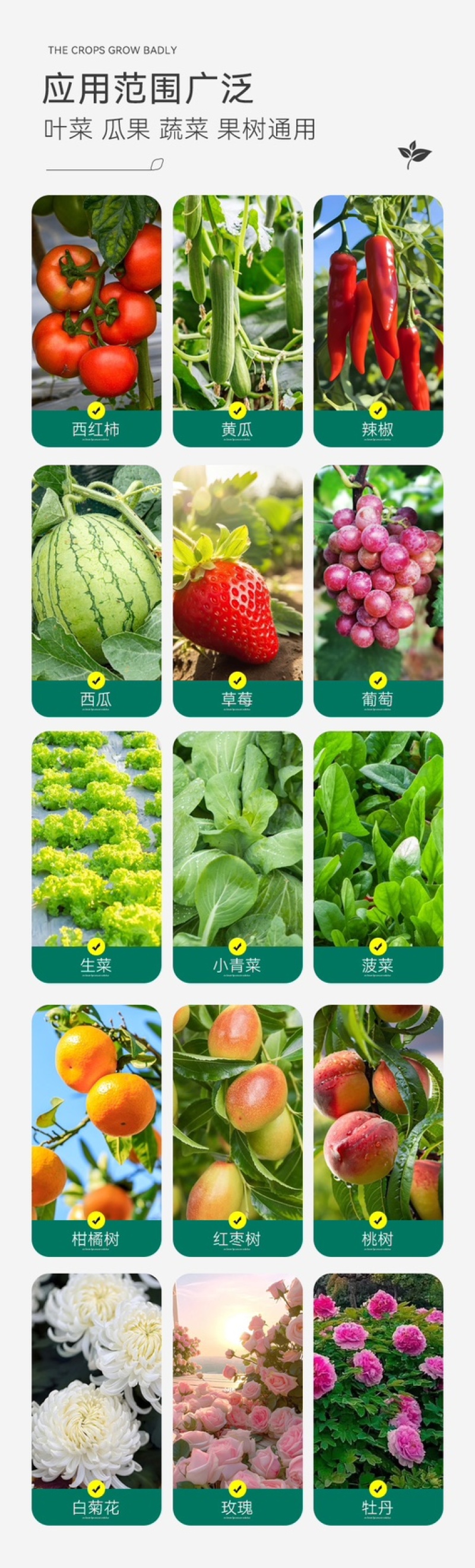 硝钠胺鲜酯植物生长调节剂生根细胞分裂素促保花保果