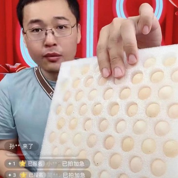 专为电商提供一件代发南丰甲鱼蛋120枚