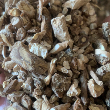 板蓝根片子
