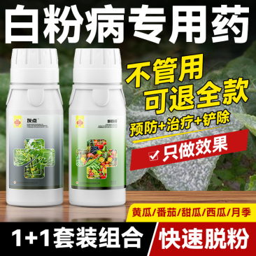 白粉病专用药柑橘甜瓜黄瓜番茄草莓花卉等农药杀菌剂