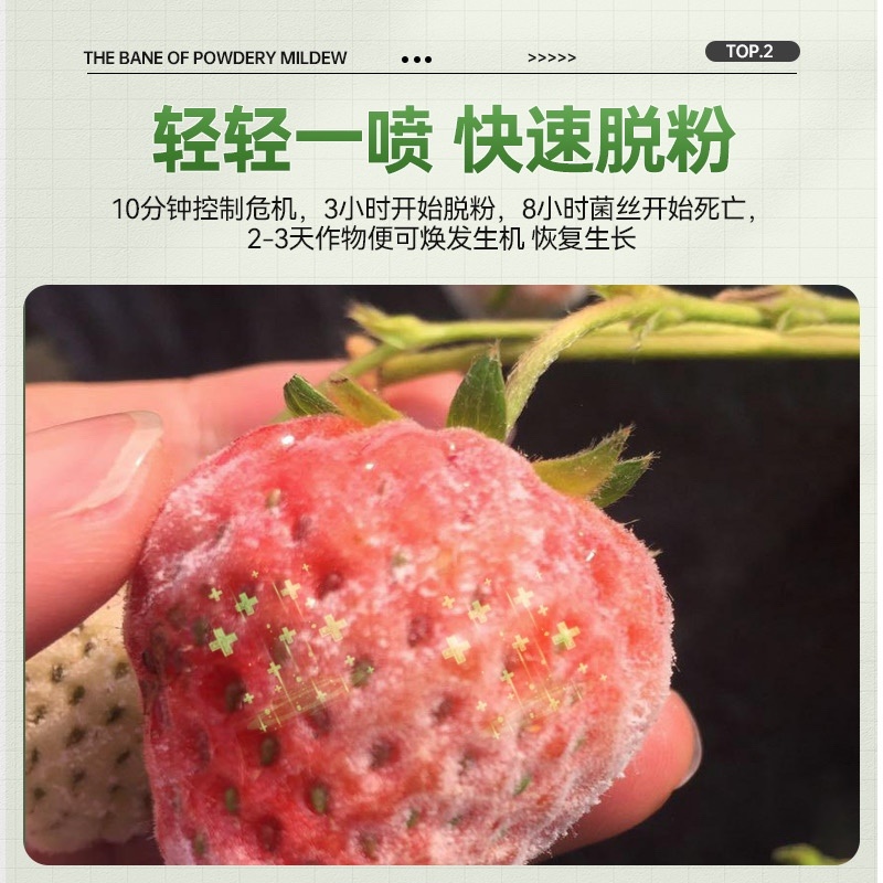 白粉病专用药柑橘甜瓜黄瓜番茄草莓花卉等农药杀菌剂
