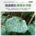 白粉病专用药柑橘甜瓜黄瓜番茄草莓花卉等农药杀菌剂