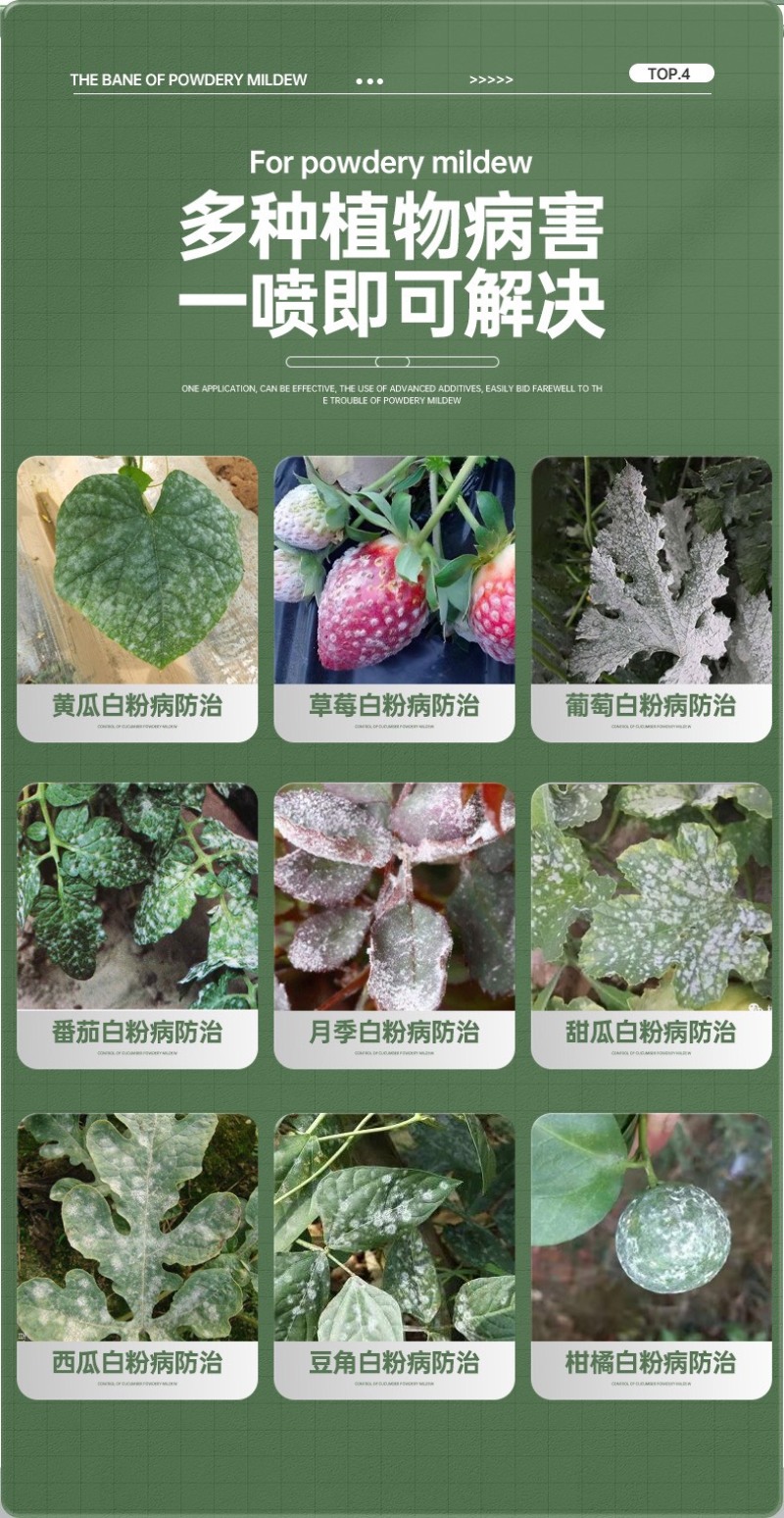 白粉病专用药柑橘甜瓜黄瓜番茄草莓花卉等农药杀菌剂