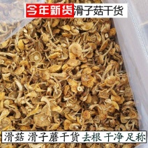 东北干货蘑菇滑子菇产地大量发货食用菌菇干黄蘑不包邮