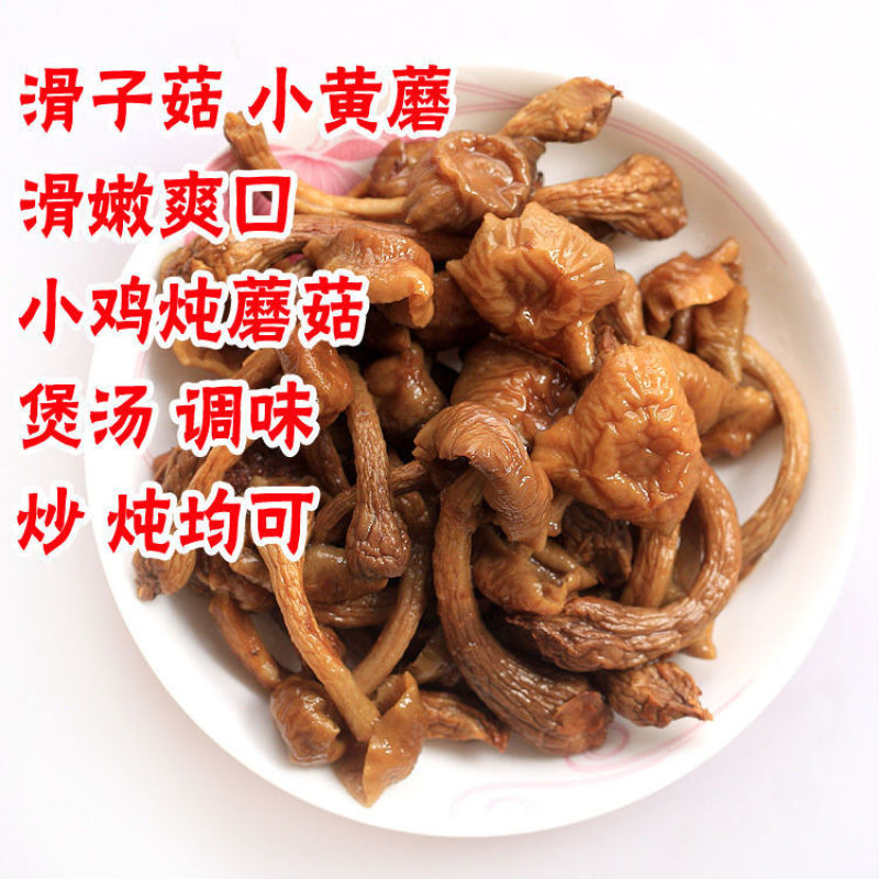 东北干货蘑菇滑子菇产地大量发货食用菌菇干黄蘑不包邮